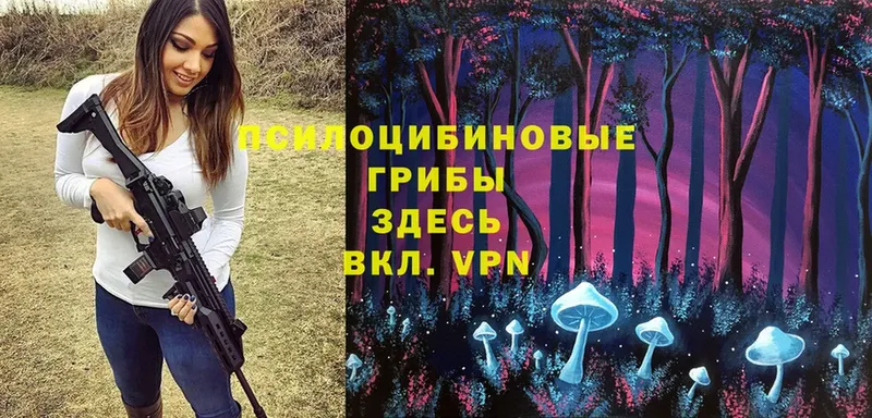 MEGA маркетплейс  Дзержинский  Галлюциногенные грибы Psilocybe 